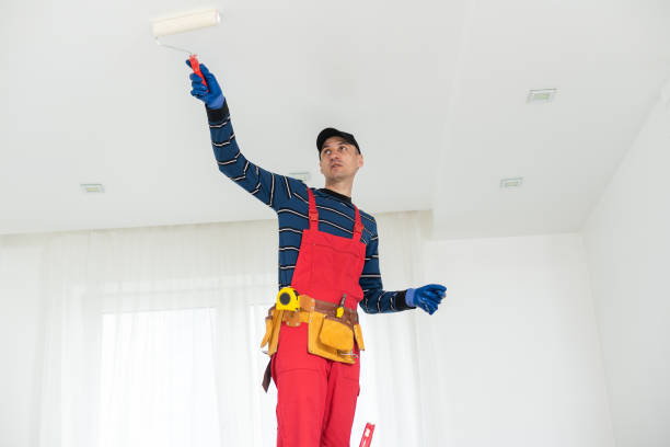 Best Mold Damage Restoration  in USA